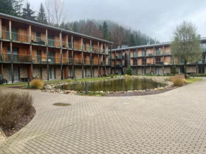 Apartmán Medvědín, Spindleruv Mlýn